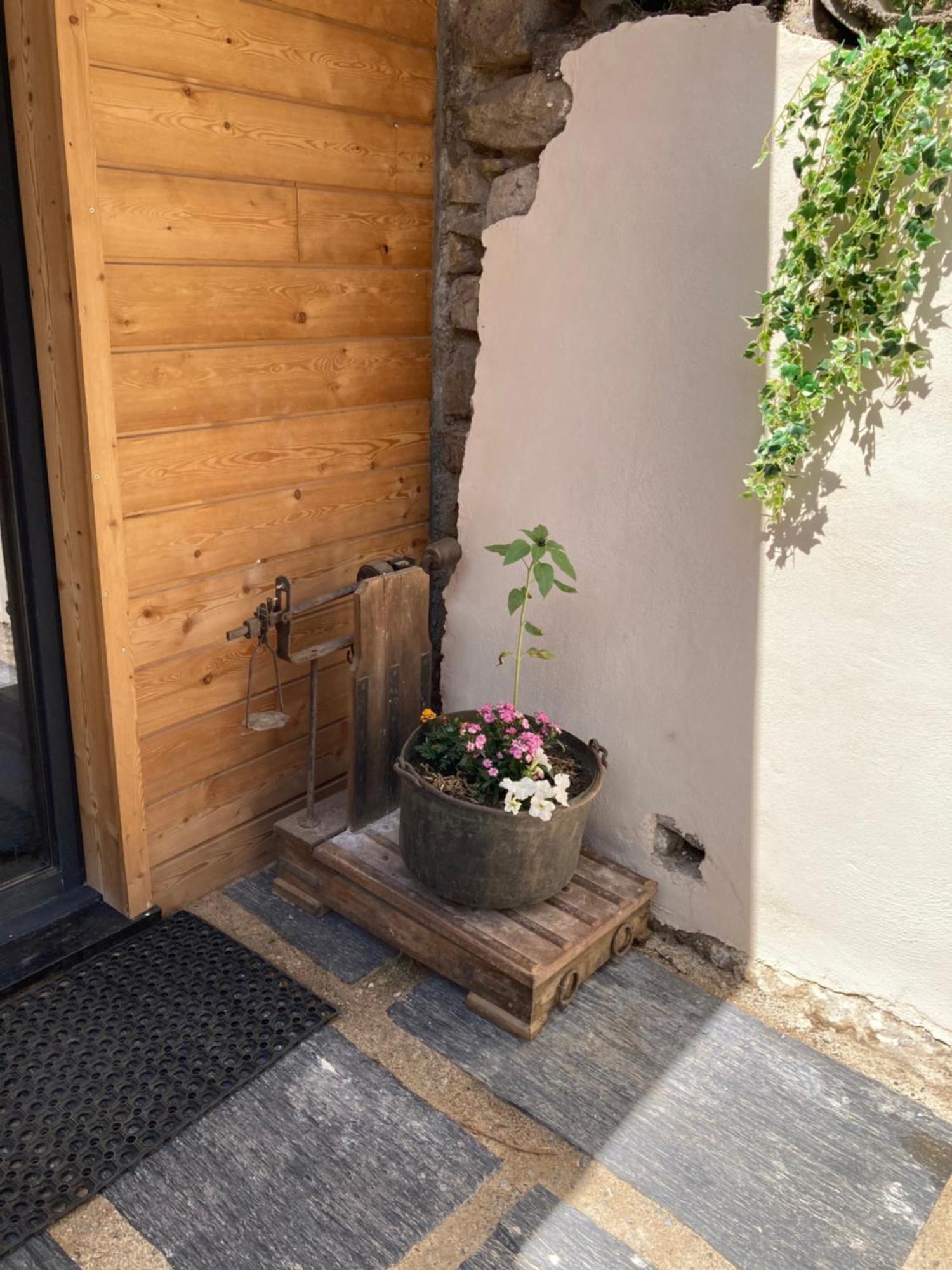 מטמל Chalet Melba Le Clos Des Ours מראה חיצוני תמונה
